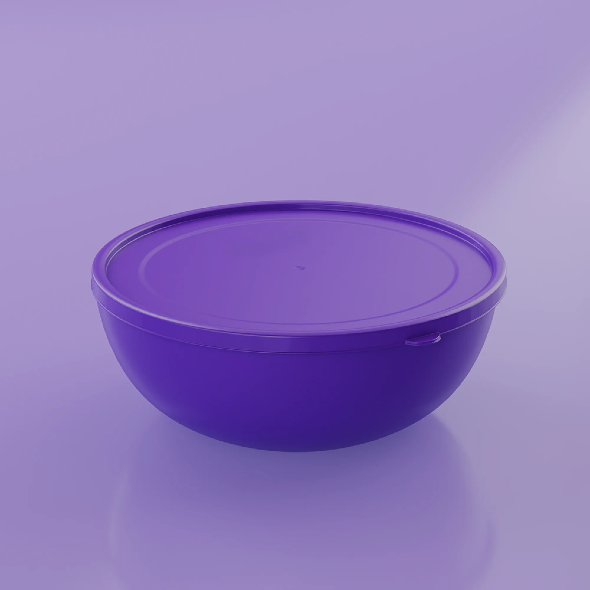 1100 ml Bowl